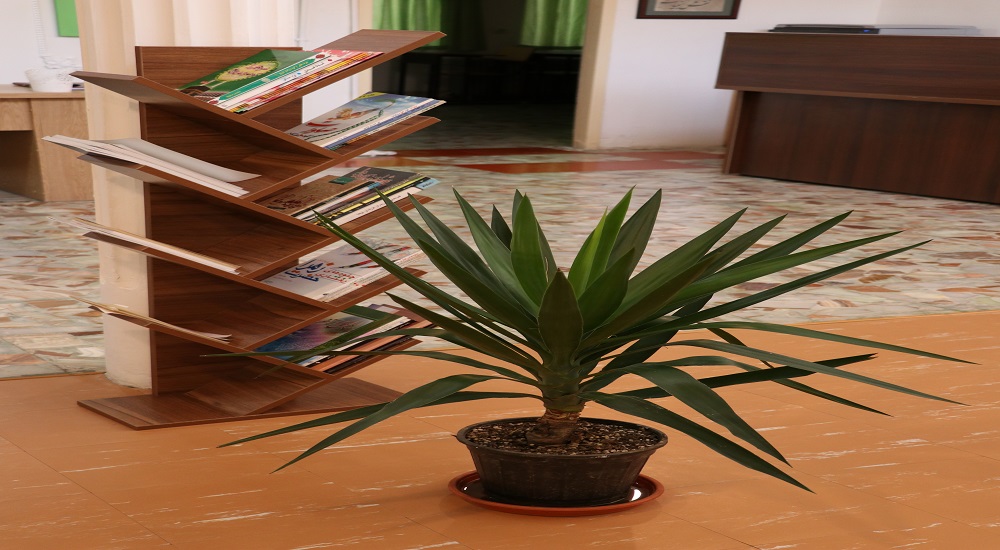 env-image